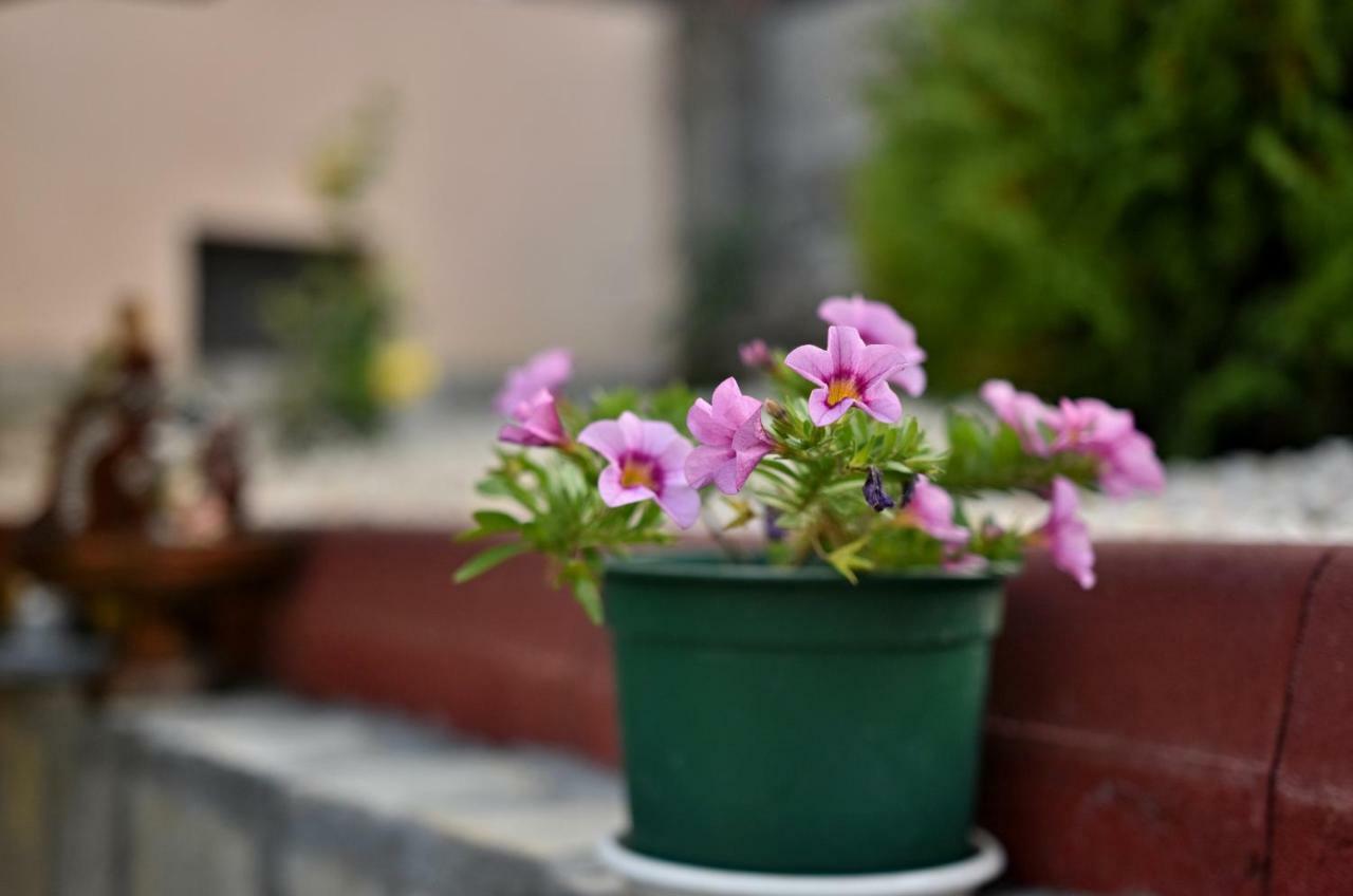 Saint Maria Guest House Velingrad Exterior photo